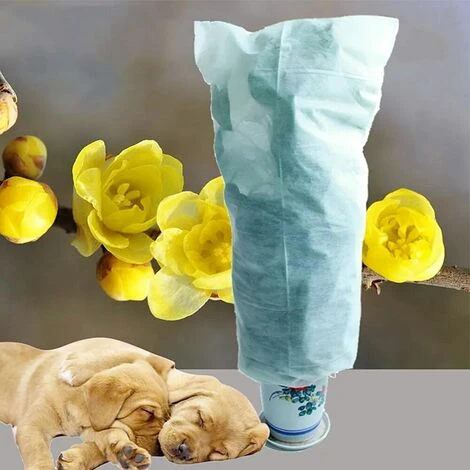 Copertura Protettiva Per Piante Smerigliate Borse Di Protezione Per Giardino, 90x150cm, In Voga - immagine 5